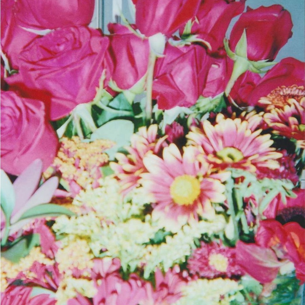 Meet your Posher, Lily